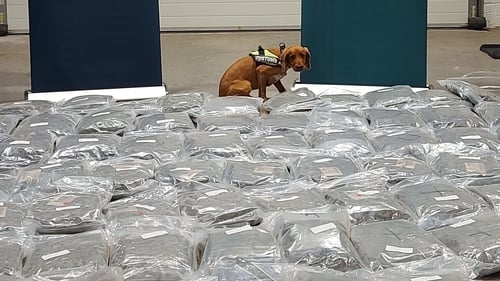 The cannabis worth an estimated €2.1m was seized at the Port of Cork