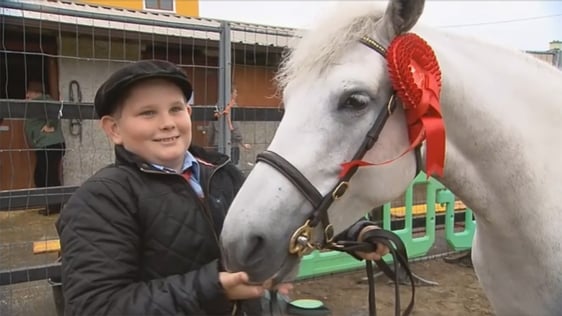 Ronan Lee with his Connemara pony in 2015.