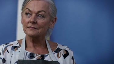 Watch the trailer for Sunphlowers