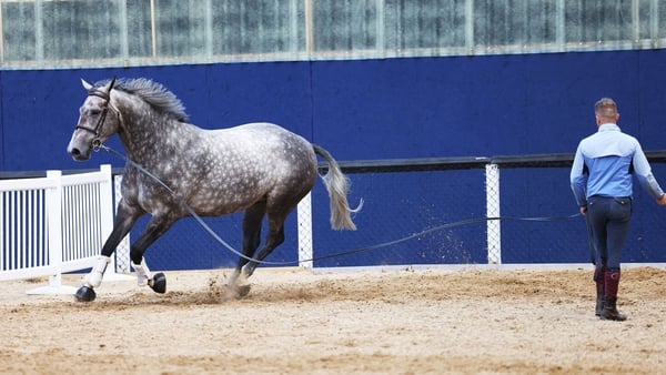 A horse is seen moving around an arena with a man watching on