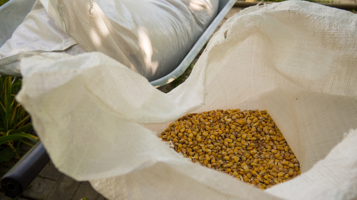 Fuel Protests affect Animal Feed Supplies 