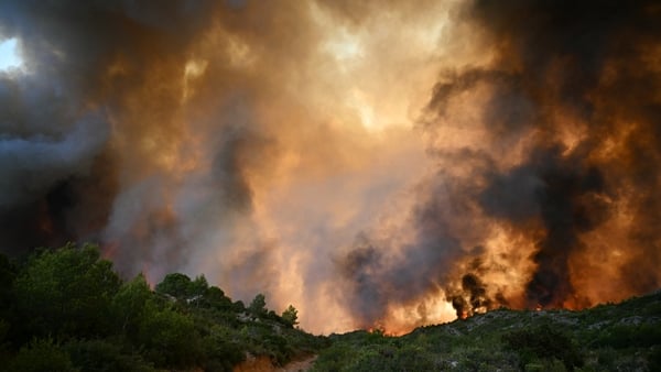 A forest is engulfed in flames with smoke billowing all over frame as a wildfire rages near Fontjoncouse