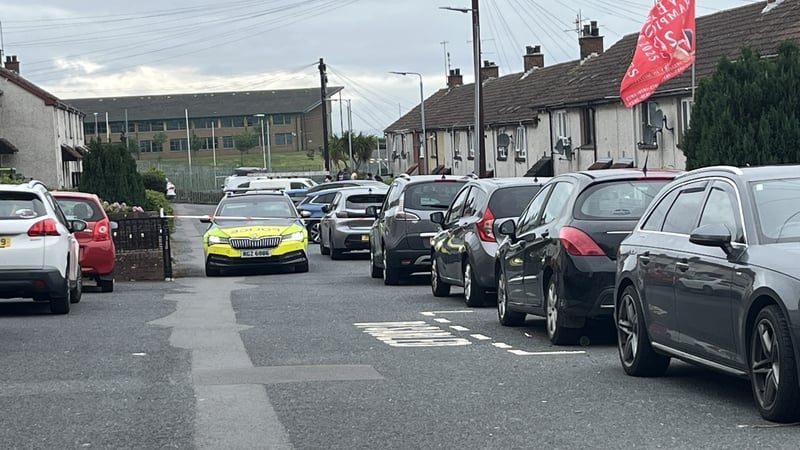 Police at the scene at Marian Park in Downpatrick
