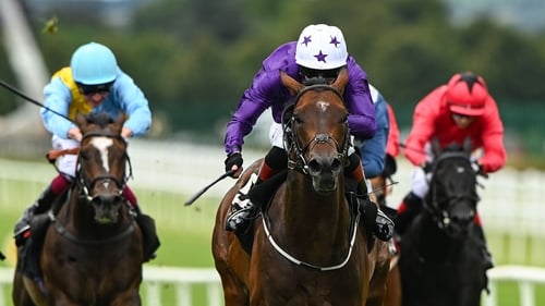 Arizona Blaze has finished in the first three in 13 of his 15 lifetime starts, winning on five occasions