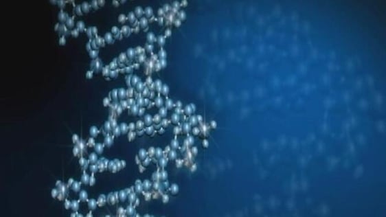 Irish Genome
