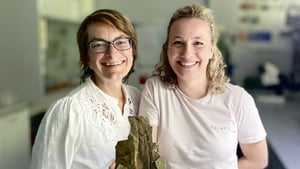“Wonder reptile” fossil challenges ideas about how and when feathers evolved show image