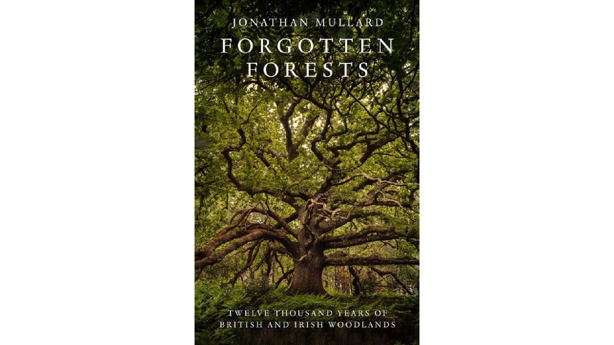 Forgotten Forests: Twelve Thousand Years of British and Irish Woodlands