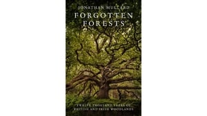 Forgotten Forests: Twelve Thousand Years of British and Irish Woodlands show image