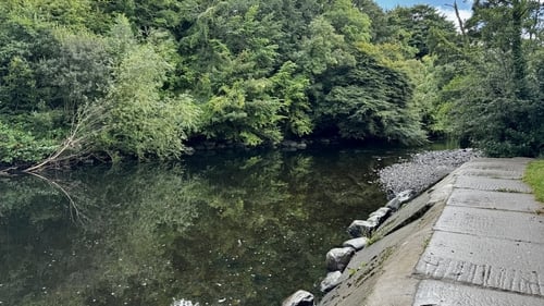 The man was swimming in the River Flesk in Killarney at around 3.30pm yesterday