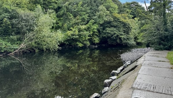The man was swimming in the River Flesk in Killarney at around 3.30pm yesterday afternoon when he got into difficulty.