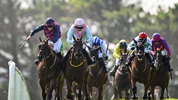 31 July 2025; Ndaawi, left, with Jack Kennedy up, on their way to winning the Guinness Galway Hurdle Handicap, from eventual secon place Helvic Dream, with Donagh Meyler up, following a steward's enquiry, during day four of the Galway Races Summer Festiva
