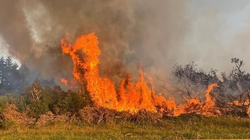 The fire started two days ago at Ticknick, close to the M50 (Credit: Dublin Fire Brigade)