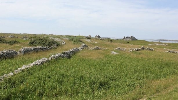 Oileán Fhínse Conamara