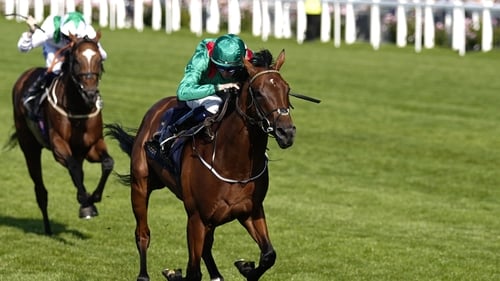 Zahrann filled the runner-up berth in the King Edward VII Stakes at Royal Ascot last time out