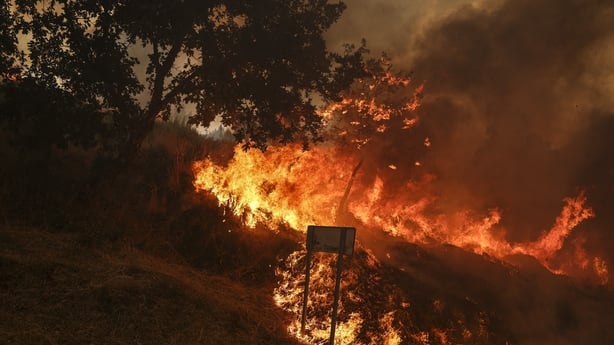 fire burning in forest in portugal 