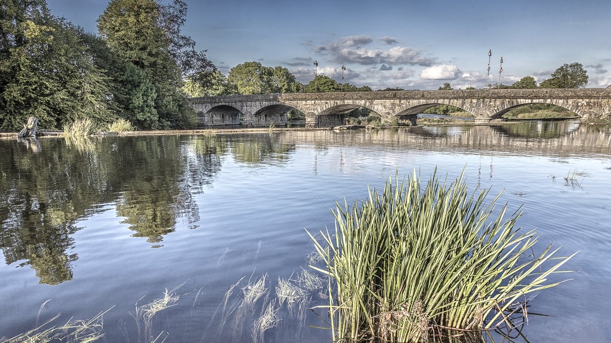 How to restore river health