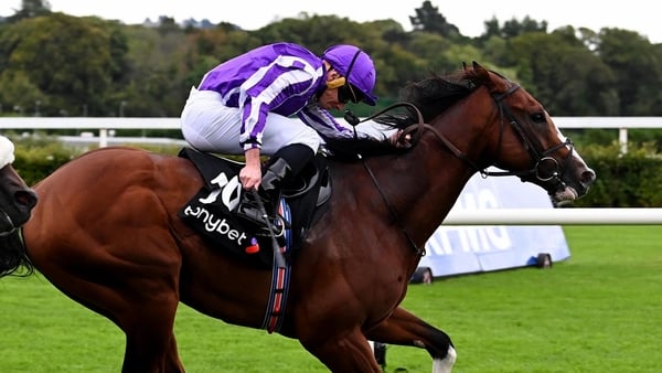 Diego Velazquez winning at Leopardstown in September 2024