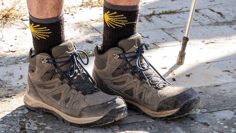 A 50km stretch between the towns of Astorga and Ponferrada were closed by authorities (stock pic)