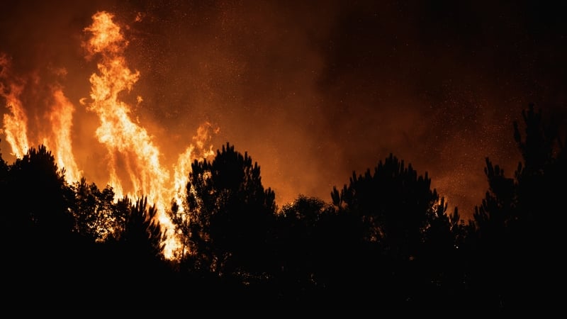 A wildfire that started in Satao spread over Aguiar da Beira and Sernancelhe in Portugal