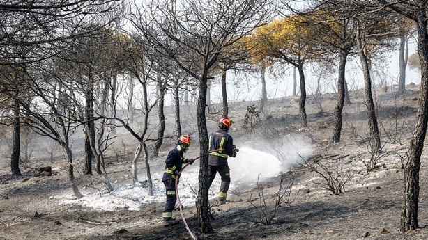 Two firefighters use a hose to extinguish a fire amid charred trees and landscape