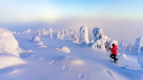 Tourist snowshoeing in the surreal winter landscape of Finnish Lapland at sunrise