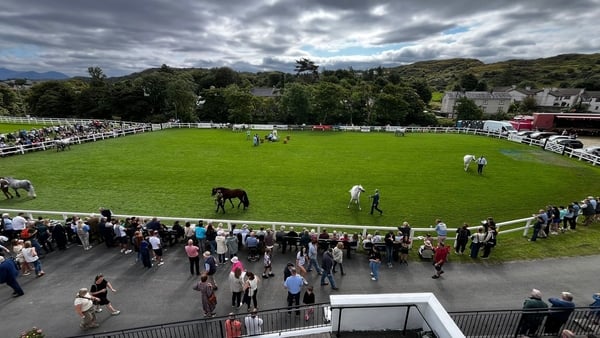 The competition ring is seen from above at the Connemara Pony Show