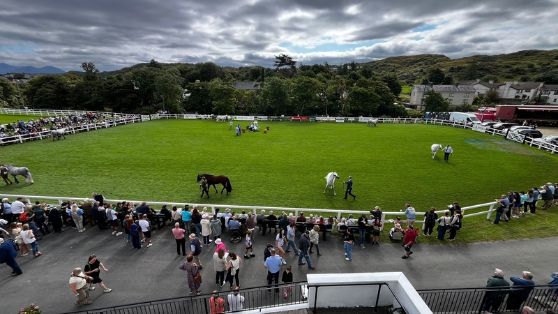 The Connemara Pony Show is celebrating its 100th anniversary