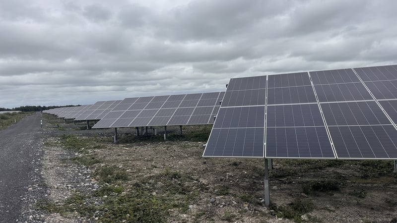 Solar panels at Timahoe North Solar Farm