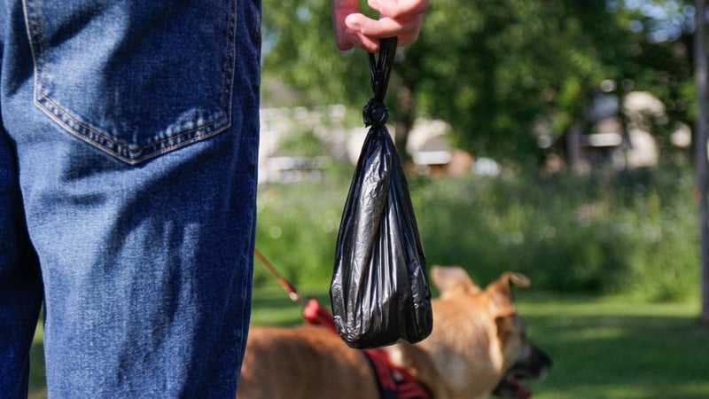 New figures show that 14 of the 31 local authorities in the State did not issue any fines for dog fouling in 2024 (Stock image)