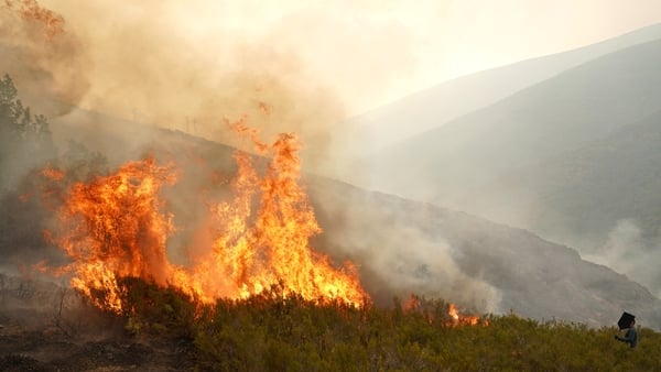 A wildfire in Colinas del Campo de Martin Moro Toledano in Iguena municipality, province of Leon, northwestern Spain