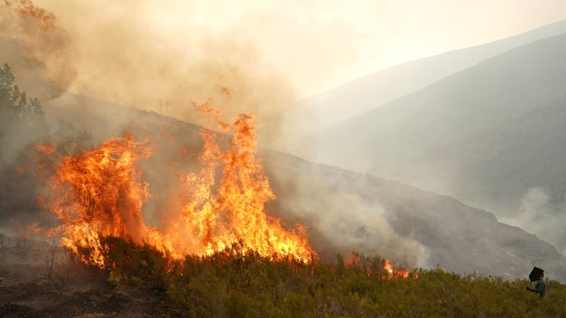 Surpassing the annual record of 988,524 hectares burnt in 2017, the figure reached 1,015,731 hectares by midday, representing an area larger than Cyprus