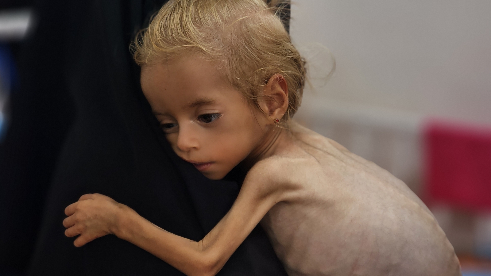 Famine confirmed in Gaza, says global hunger monitor