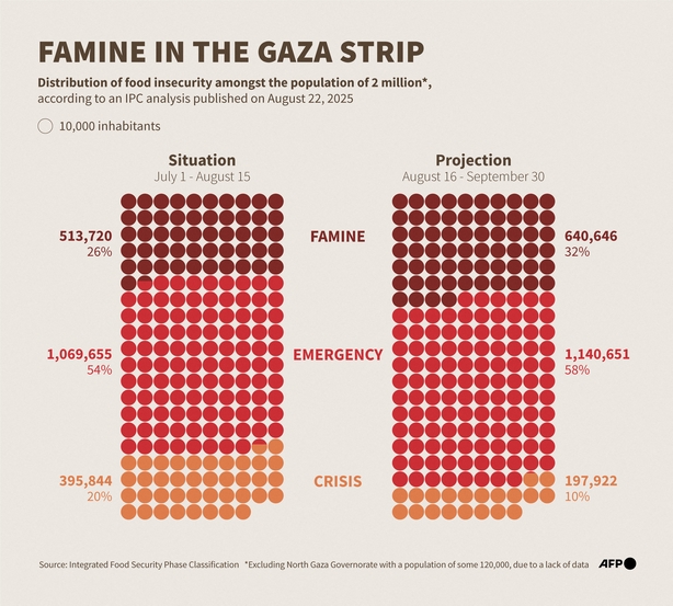 Infographic showing the distibution of food insecurity in Gaza
