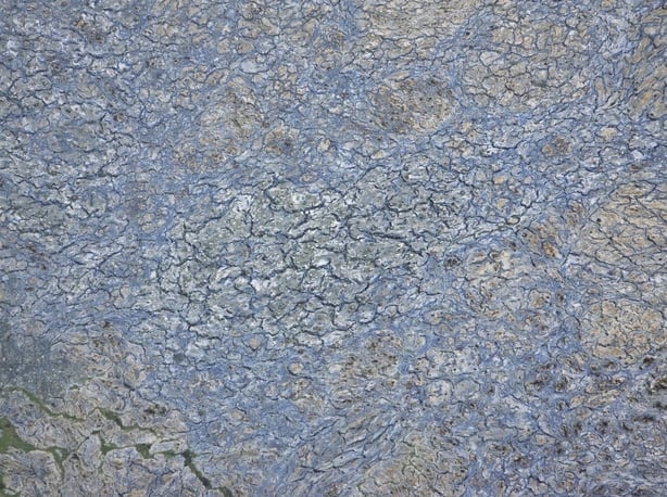 Close up image of water affected by blue algae 