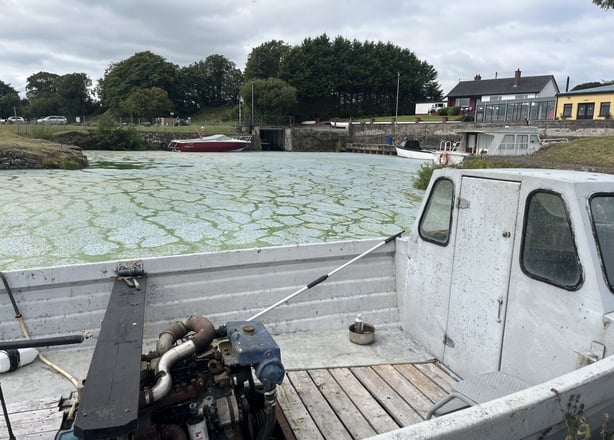 Image of a boat in the foreground of algae-affected Lough Neagh