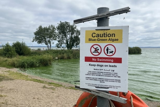 A sign warning of the presence of algae at Lough Neagh