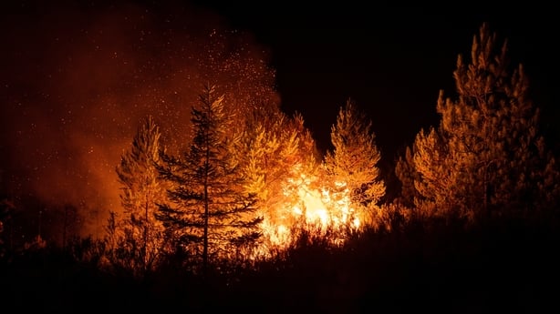 ARGAYO, LEON CASTILLA Y LEON, SPAIN - AUGUST 22: View of the fire on August 22, 2025, in Argayo, Leon, Castilla y Leon, Spain. Helped by falling temperatures and milder weather than in recent days, firefighting services, both regional and arrived from other communities and other EU countries, are ma