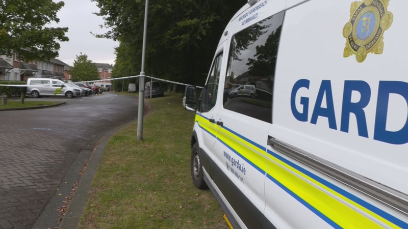 The incident happened at Curragh Hall in Tyrellstown