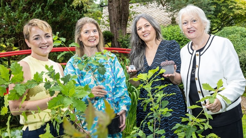 ACORNS past participant Caitriona Cullen (Cullen Nurseries) Lead Entrepreneur Mary B Walsh (Ire Wel Pallets) past participant Magda Seymour (Pure Oskar) and Paula Fitzsimons Director of ACORNS