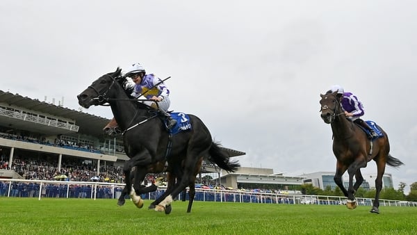 14 September 2024; Green Impact, left, with Shane Foley up, on their way to winning the KPMG Champions Juvenile Stakes during day one of the Irish Champions Festival at Leopardstown Racecourse in Dublin. Photo by Seb Daly/Sportsfile