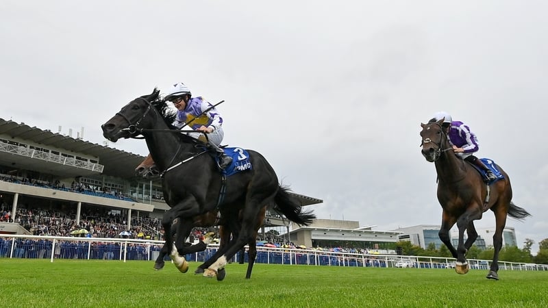 Green Impact (left) won the Champion Juvenile Stakes last season