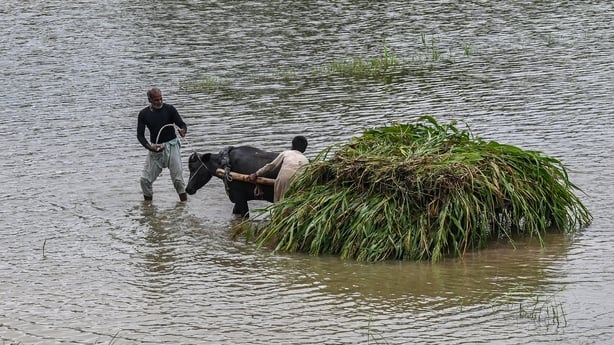 Farmers transport crops by cart in a flood-affected area of Punjab in Pakistan