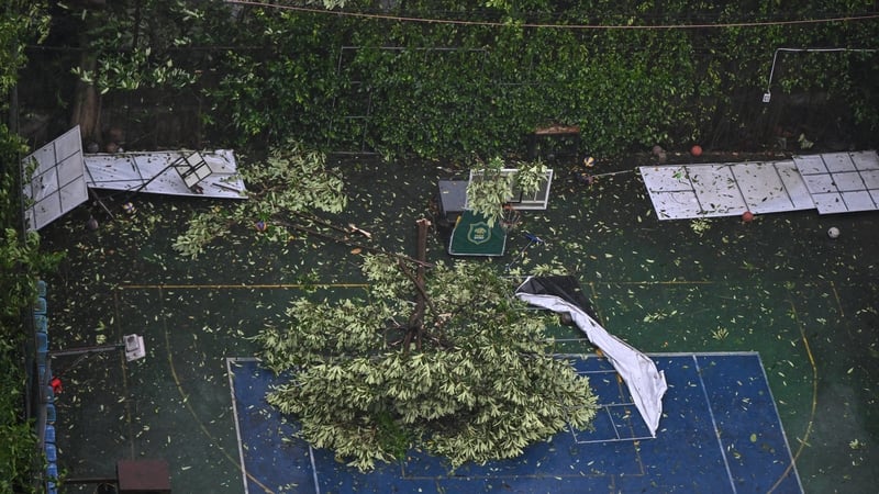 A tree branch lies on a sports court after Typhoon Kajiki made landfall in Vinh city