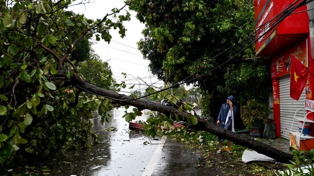 A man rides a motorbike past a fallen tree after Typhoon Kajiki passed through the Nghe An province in Vietnam
