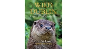 Wild Dublin – second edition is on the way! show image