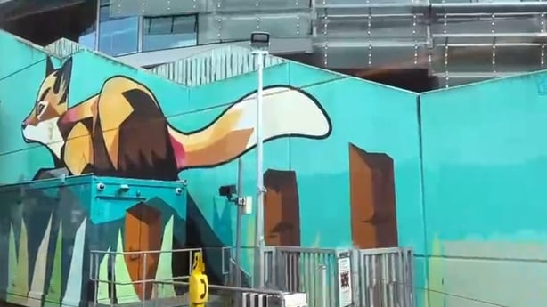 Screenshot from video of Aviva Stadium murals