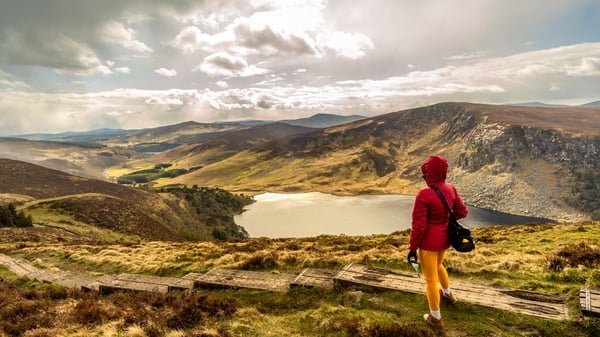 A woman hiker on the wooden path looking towards Lough Tay walk in the Wicklow Mountains National Park