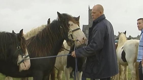 Ballinasloe Horse Fair, 2005