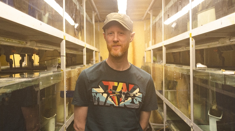 Matt McIvor: "If it has a melody and a story, I'm in."