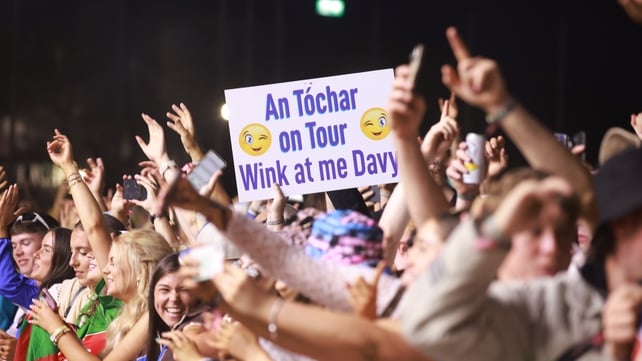 The crowd at Electric Picnic 2025